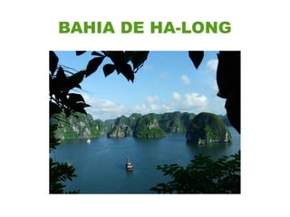 BAHIA DE HA-LONG
 