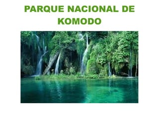 PARQUE NACIONAL DE
     KOMODO
 