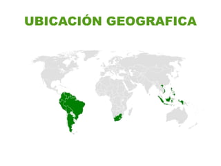 UBICACIÓN GEOGRAFICA
 