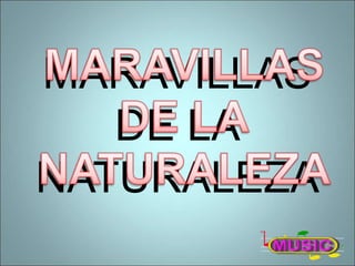 MARAVILLAS  DE LA NATURALEZA 