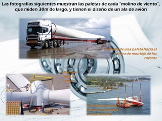 Las fotografías siguientes muestran las paletas de cada “molino de viento”,
      que miden 30m de largo, y tienen el diseño de un ala de avión
 