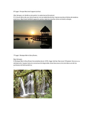 6º Lugar: Parque Nacional Laguna Lachuá.
Alta Verapaz, en donde se encuentra la sexta maravillanatural.
El clima es típico de una selva tropical,con variedad de plantas impresionantey árboles demaderas
preciosas.Aquí viven también jaguares,pumas,tapires y muchos otros animales salvajes.
7º Lugar: Biotopo Mario Dary Rivera.
Baja Verapaz.
El Biotopo Mario Dary Rivera fue establecido en 1976, hogar del Ave Nacional:El Quetzal.Gracias a su
exhuberante riqueza natural y conservación degrandes áreas boscosas seleconsidera uno de los
pulmones de Centroamérica.
.
 