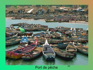 22
Port de pêche
 