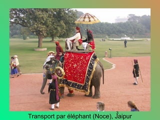 3
Transport par éléphant (Noce), Jaipur
 