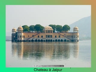 1
Chateau à Jaipur
 