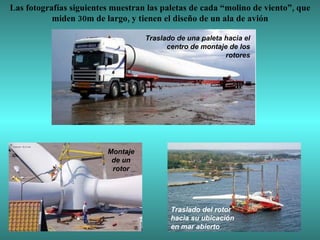 Las fotografías siguientes muestran las paletas de cada “molino de viento”, que miden 30m de largo, y tienen el diseño de un ala de avión Traslado de una paleta hacia el centro de montaje de los rotores Montaje de un rotor Traslado del rotor hacia su ubicación en mar abierto 