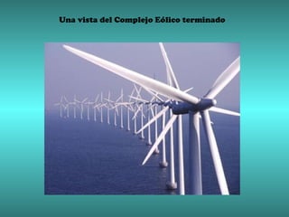 Una vista del Complejo Eólico terminado
 