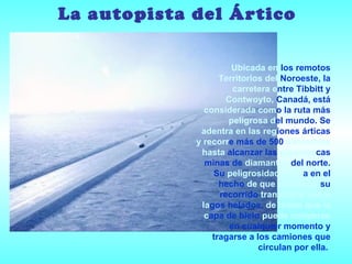 La autopista del Ártico

                      Ubicada en los remotos
                   Territorios del Noroeste, la
                       carretera entre Tibbitt y
                     Contwoyto, Canadá, está
               considerada como la ruta más
                     peligrosa del mundo. Se
              adentra en las regiones árticas
             y recorre más de 500 kilómetros
              hasta alcanzar las gigantescas
               minas de diamantes del norte.
                 Su peligrosidad radica en el
                   hecho de que el 85% de su
                   recorrido transcurre sobre
              lagos helados, de modo que la
               capa de hielo puede romperse
                      en cualquier momento y
                 tragarse a los camiones que
                             circulan por ella.
 