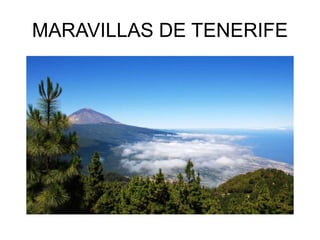 MARAVILLAS DE TENERIFE
 