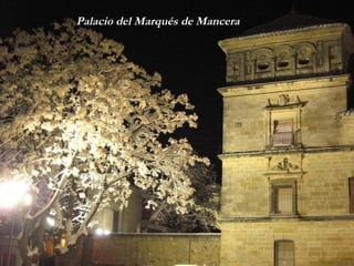 Palacio del Marqués de Mancera 