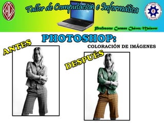 COLORACIÓN DE IMÁGENES
 