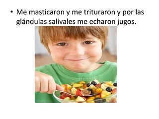 • Me masticaron y me trituraron y por las
  glándulas salivales me echaron jugos.
 