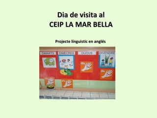 Dia de visita al CEIP LA MAR BELLA Projecte línguistic en anglés  