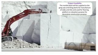Project Feasibility
The marble block will be supplied to the
gang saw and tiling plants for manufacture
of slabs and tiles and used for flooring,
platform or elevation purpose for
decorative construction purpose.
 
