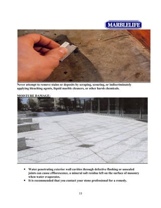 Marble life report1013 | PDF