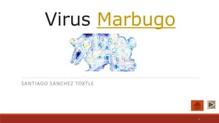 Virus Marbugo
SANTIAGO SÁNCHEZ TOXTLE
1
 