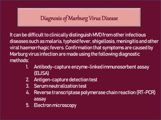 Marbug Virus disease and treatment slideshare | PPTX