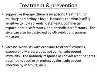 Treatment & prevention
• Supportive therapy (there is no specific treatment for
Marburg hemorrhagic fever. However, the virus itself is
sensitive to lipid solvents, detergents, commercial
hypochlorite disinfectants, and phenolic disinfectants. The
virus can also be destroyed by ultraviolet and gamma
radiation.
• Vaccine. None. As with exposure to other filoviruses,
exposure to Marburg does not confer subsequent
immunity. The antibody response in convalescent patients
does not neutralize or protect against subsequent
infection by Marburg virus.
14
 