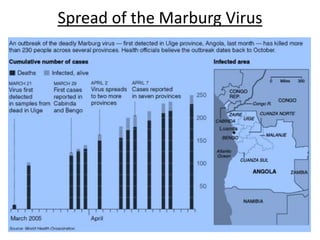 Spread of the Marburg Virus
4
 