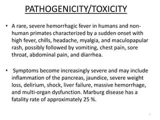 PATHOGENICITY/TOXICITY
• A rare, severe hemorrhagic fever in humans and non-
human primates characterized by a sudden onset with
high fever, chills, headache, myalgia, and maculopapular
rash, possibly followed by vomiting, chest pain, sore
throat, abdominal pain, and diarrhea.
• Symptoms become increasingly severe and may include
inflammation of the pancreas, jaundice, severe weight
loss, delirium, shock, liver failure, massive hemorrhage,
and multi-organ dysfunction. Marburg disease has a
fatality rate of approximately 25 %.
7
 