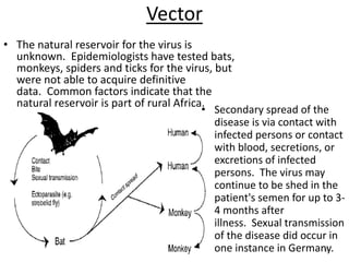 Vector
• The natural reservoir for the virus is
unknown. Epidemiologists have tested bats,
monkeys, spiders and ticks for the virus, but
were not able to acquire definitive
data. Common factors indicate that the
natural reservoir is part of rural Africa.
8
• Secondary spread of the
disease is via contact with
infected persons or contact
with blood, secretions, or
excretions of infected
persons. The virus may
continue to be shed in the
patient's semen for up to 3-
4 months after
illness. Sexual transmission
of the disease did occur in
one instance in Germany.
 