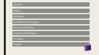¿Qué es?
Origen
Epidemia
La epidemia en Angola
Estructura delVirus
Anatomía Patológica
Contagio
Terapia
3
 
