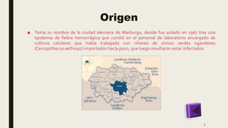 Origen
■ Toma su nombre de la ciudad alemana de Marburgo, donde fue aislado en 1967 tras una
epidemia de fiebre hemorrágica que cundió en el personal de laboratorio encargado de
cultivos celulares que había trabajado con riñones de simios verdes ugandeses
(Cercopithecus aethiops) importados hacía poco, que luego resultaron estar infectados.
5
 