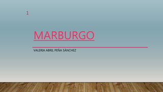 MARBURGO
VALERIA ABRIL PEÑA SÁNCHEZ
1
 