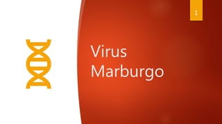 Virus
Marburgo
1
 