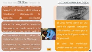 TERAPIAHay que recurrir a una terapia de
apoyo para controlar el volumen
hemático, el balance electrolítico y
monitorizar atentamente la
presencia de infecciones
secundarias.
Sólo en caso de que se note un
estado de coagulación intravasal
diseminada, se puede recurrir a la
heparina.La ribavirina no ha podido reducir,
en experimentos in vitro, la
replicación del virus de Marburgo.
Actualmente se realizan estudios
para poder crear una vacuna
USO COMO ARMA BIOLÓGICA
10
El virus formó parte de una
serie de agentes patógenos
militarizados con éxito por el
programa biológico soviético
Biopreparat.
El virus fue modificado
genéticamente para crear una
 