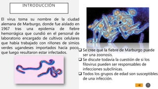 INTRODUCCIÓN
El virus toma su nombre de la ciudad
alemana de Marburgo, donde fue aislado en
1967 tras una epidemia de fiebre
hemorrágica que cundió en el personal de
laboratorio encargado de cultivos celulares
que había trabajado con riñones de simios
verdes ugandeses importados hacía poco,
que luego resultaron estar infectados.
 Se cree que la fiebre de Marburgo puede
ser una zoonosis.
 Se discute todavía la cuestión de si los
filovirus pueden ser responsables de
infecciones subclínicas.
 Todos los grupos de edad son susceptibles
de una infección.
3
 