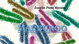 MARBURGO
Josselin Pérez Morales
1
 