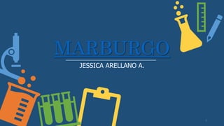 MARBURGO
JESSICA ARELLANO A.
1
 