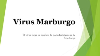 Virus Marburgo
El virus toma su nombre de la ciudad alemana de
Marburgo
 
