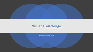 Virus de Marburgo
Ana Itzel García Trejo
 