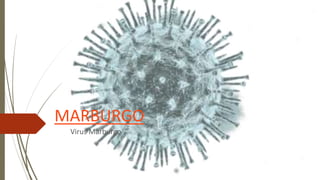 MARBURGO
Virus Marburgo
 