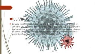 EL VIRUS
 toma su nombre de la ciudad alemana de Marburgo, donde fue aislado en
1967 tras una epidemia de fiebre hemorrágica que cundió en el personal de
laboratorio encargado de cultivos celulares que había trabajado con riñones
de simios verdes ugandeses (Cercopithecus aethiops) importados hacía
poco, que luego resultaron estar infectados
 