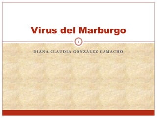 D I A N A C L A U D I A G O N Z Á L E Z C A M A C H O
Virus del Marburgo
1
 