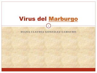 D I A N A C L A U D I A G O N Z Á L E Z C A M A C H O
Virus del Marburgo
1
 