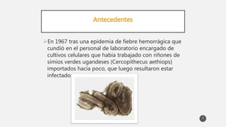 Antecedentes
En 1967 tras una epidemia de fiebre hemorrágica que
cundió en el personal de laboratorio encargado de
cultivos celulares que había trabajado con riñones de
simios verdes ugandeses (Cercopithecus aethiops)
importados hacía poco, que luego resultaron estar
infectados
3
 