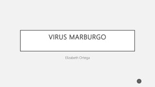 VIRUS MARBURGO
Elizabeth Ortega
1
 