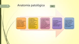 Anatomía patológica
Es común la
presencia de necrosis
focales de hígado,
nódulos linfáticos,
testículos, ovarios,
pulmones, riñones y
órganos linfoides.
En el hígado se
localizan cuerpos
eosinófilos (similares a
los cuerpos de
Councilman) y en el
pulmón se notan
indicios de pulmonitis
intersticial y de
endoarteritis de las
arterias pequeñas.
La necrosis focal de
los órganos linfoides
es bastante
característica,
mientras que la
necrosis tubular renal
ocurre sobre todo en
las últimas fases de
enfermedad.
En el sistema
nervioso hay infartos
hemorrágicos
múltiples y
proliferación de las
células de la glía.
Se han localizado
antígenos antivirales
en varios órganos,
sobre todo en el
hígado, en los
riñones, en el bazo y
en las hipófisis
6
 