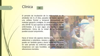 Clínica
El periodo de incubación de la enfermedad es de
alrededor de 3 a 9 días, pasados los cuales aparece
una cefalea frontal y temporal acompañada de
malestar general y mialgias. Es característica la fiebre
alta (39-40 °C) que aparece ya desde el primer día de
enfermedad, a la que sigue una fuerte y rápida
debilitación. Cerca de la mitad de los enfermos
pueden acusar conjuntivitis.
Hacia el tercer día aparece diarrea acuosa con dolor
abdominal y calambres, náusea y vómito. La diarrea
puede ser también grave y durar hasta una semana.
En este periodo los enfermos presentan un rostro
inexpresivo con ojos hundidos. así como letargo y
alteraciones mentales.
7
 