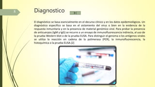 Diagnostico
El diagnóstico se basa esencialmente en el decurso clínico y en los datos epidemiológicos. Un
diagnóstico específico se basa en el aislamiento del virus o bien en la evidencia de la
respuesta inmunitaria y en la presencia de material genómico viral. Para probar la presencia
de anticuerpos (IgM y IgG) se recurre a un ensayo de inmunofluorescencia indirecta, al uso de
la prueba Western blot o de la prueba ELISA. Para distinguir el genoma o los antígenos virales
se utiliza la reacción en cadena de la polimerasa (PCR), la inmunofluorescencia, la
histoquímica o la prueba ELISA.[2]
8
 