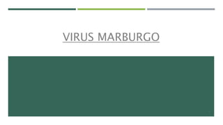 VIRUS MARBURGO
1
 