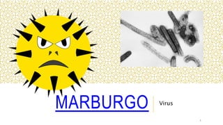 MARBURGO Virus
1
 
