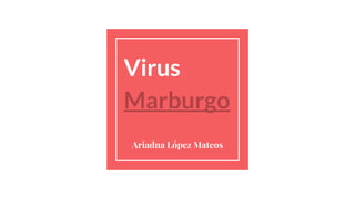 Virus
Marburgo
Ariadna López Mateos
 