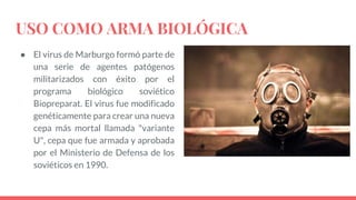 USO COMO ARMA BIOLÓGICA
● El virus de Marburgo formó parte de
una serie de agentes patógenos
militarizados con éxito por el
programa biológico soviético
Biopreparat. El virus fue modificado
genéticamente para crear una nueva
cepa más mortal llamada "variante
U", cepa que fue armada y aprobada
por el Ministerio de Defensa de los
soviéticos en 1990.
 