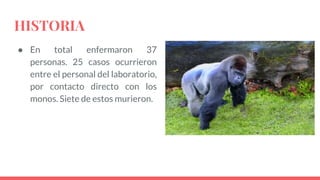 HISTORIA
● En total enfermaron 37
personas. 25 casos ocurrieron
entre el personal del laboratorio,
por contacto directo con los
monos. Siete de estos murieron.
 