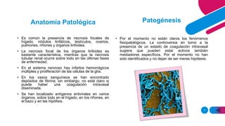 7
• Es común la presencia de necrosis focales de
hígado, nódulos linfáticos, testículos, ovarios,
pulmones, riñones y órganos linfoides.
• La necrosis focal de los órganos linfoides es
bastante característica, mientras que la necrosis
tubular renal ocurre sobre todo en las últimas fases
de enfermedad.
• En el sistema nervioso hay infartos hemorrágicos
múltiples y proliferación de las células de la glía.
• En los vasos sanguíneos se han encontrado
depósitos de fibrina; sin embargo, no está claro si
puede haber una coagulación intravasal
diseminada.
• Se han localizado antígenos antivirales en varios
órganos, sobre todo en el hígado, en los riñones, en
el bazo y en las hipófisis.
Patogénesis
• Por el momento no están claros los fenómenos
fisiopatológicos. La controversia en torno a la
presencia de un estado de coagulación intravasal
sugiere que pueden estar activos también
mediadores específicos. Por el momento no han
sido identificados y no dejan de ser meras hipótesis.
Anatomía Patológica
 